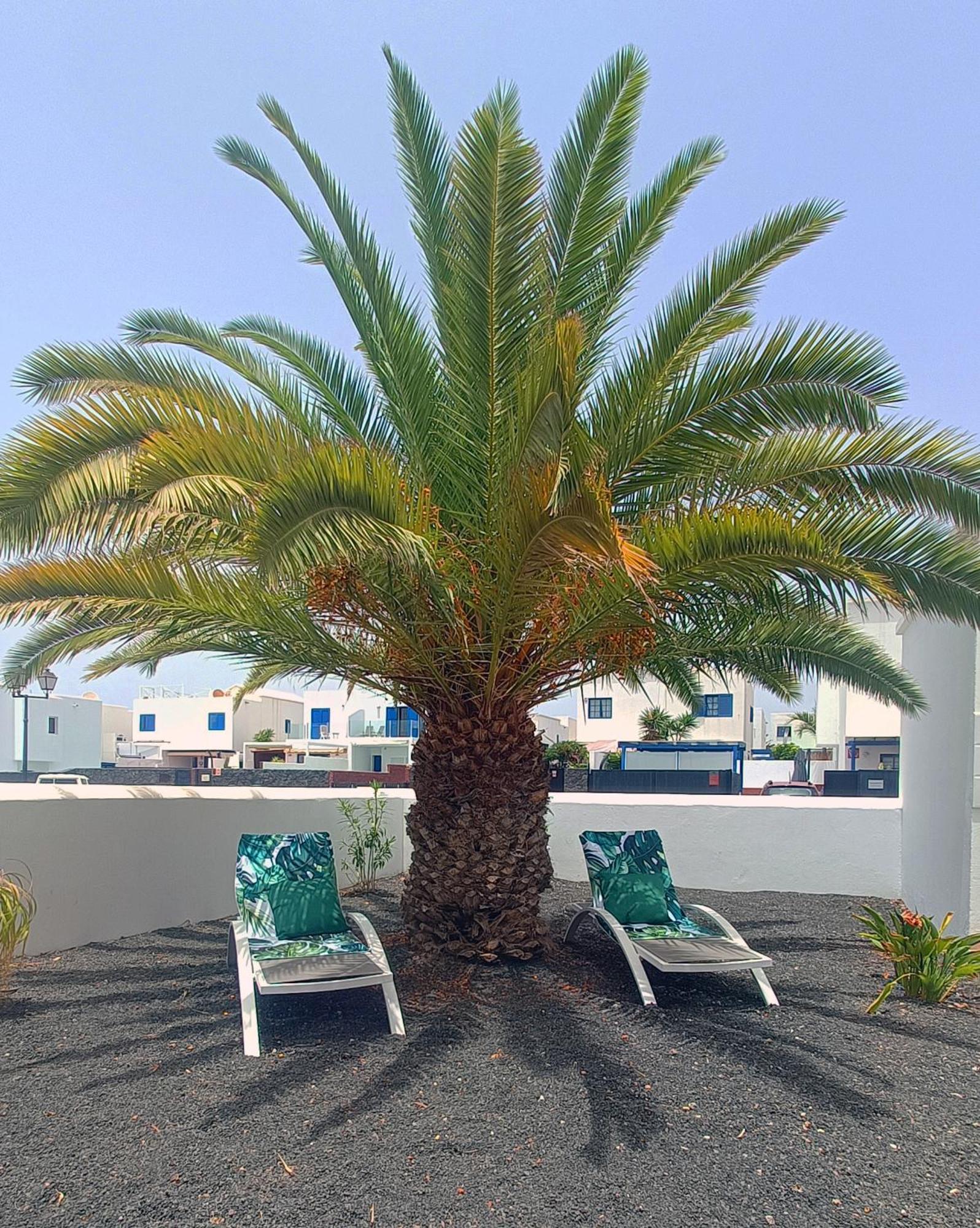 Lovely Casa Felicidad, Swimming Pool, Wifi X Private Garden 普拉亚布兰卡 外观 照片